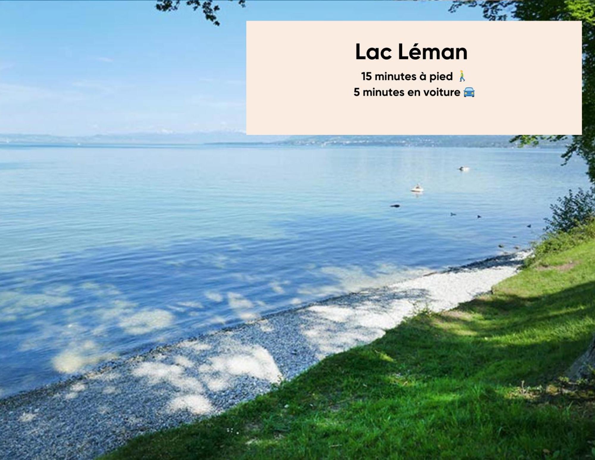 Cosy Et Moderne - Dent D'Oche Lägenhet Thonon-les-Bains Exteriör bild